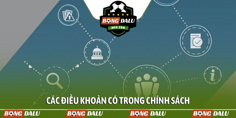 Các điều khoản có trong chính sách